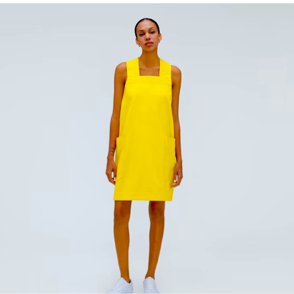 Everlane cross back apron mini dress